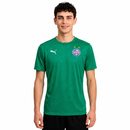 Camisa Bahia Treino 25/26 - Verde Puma