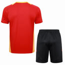 Conjunto Bayern de Munique Treino 24/25 - Vermelho - Futx Brasil