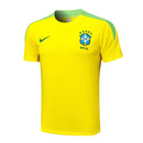 Conjunto Brasil Treino 24/25  - Amarelo e Verde My Store