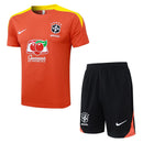 Conjunto Brasil Treino 24/25  - Laranja My Store