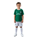 Conjunto Infantil Palmeiras I 26/27 - Verde My Store