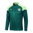 Conjunto Agasalho Treino Palmeiras 24/25 - Verde - Futx Brasil