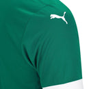 Camisa Palmeiras Home 25/26 - Verde - Futx Brasil