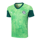 Conjunto Palmeiras Treino 24/25 - Verde - Futx Brasil