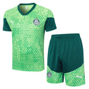 Conjunto Palmeiras Treino 24/25 - Verde - Futx Brasil