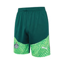 Conjunto Palmeiras Treino Regata 24/25 - Verde - Futx Brasil