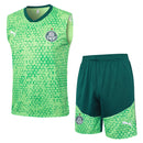 Conjunto Palmeiras Treino Regata 24/25 - Verde - Futx Brasil