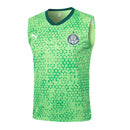 Conjunto Palmeiras Treino Regata 24/25 - Verde - Futx Brasil