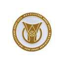 Patch Participação Brasileirão 2024 (Manga) - Futx Brasil