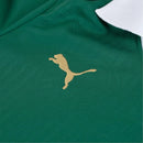 Camisa Palmeiras Home 24/25 - Verde - Futx Brasil